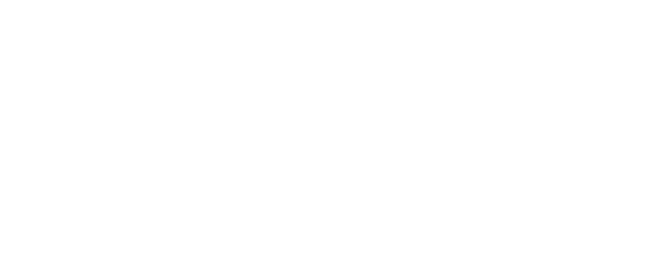 Denso Denso